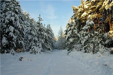 《前线任务1st：重制版》更新上线 多项追加调整