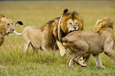 《看门狗：军团》Steam版正式发售 褒贬不一